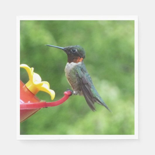 Ruby-Throated Hummingbird Bird Fotografy Serviette (Vorderseite)