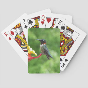 Ruby-Throated Hummingbird Bird Fotografy Spielkarten