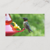 Ruby-Throated Hummingbird Bird Fotografy Visitenkarte (Rückseite)