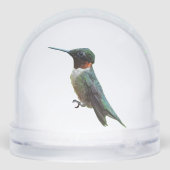 Ruby-Throated Hummingbird Bird Photography Schneekugeln (Rückseite)