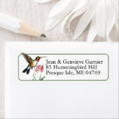 Ruby-throated Hummingbird Bird Rücksendeadresse (Insitu)