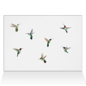 Ruby-throated Hummingbird Birthday Card (Innenansicht Horizontal (Oben))