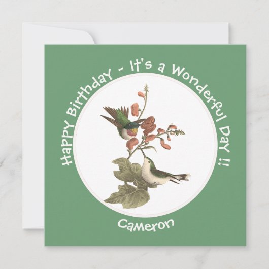 Ruby-throated Hummingbird, Birthday oder sonstiges Einladung (Vorderseite)