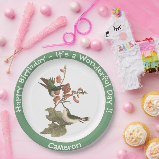 Ruby-throated Hummingbird, Birthday oder sonstiges Pappteller (Party)