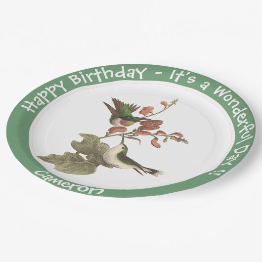 Ruby-throated Hummingbird, Birthday oder sonstiges Pappteller (Schrägansicht)