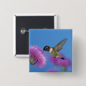 Ruby-throated Hummingbird Button (Vorne & Hinten)