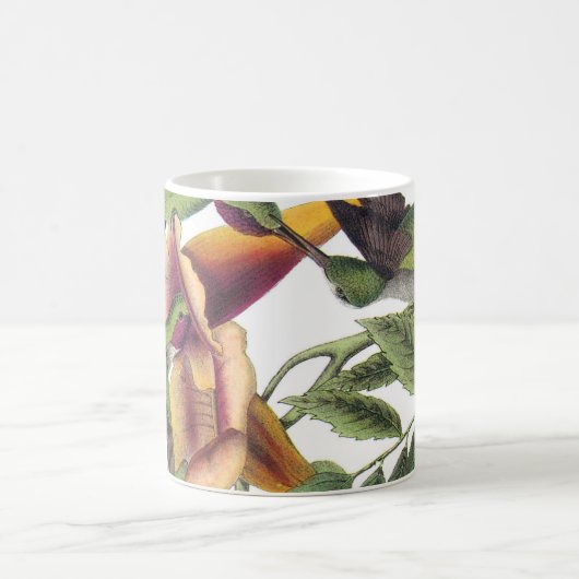 Ruby-throated Hummingbird by Audubon Kaffeetasse (Mittel)