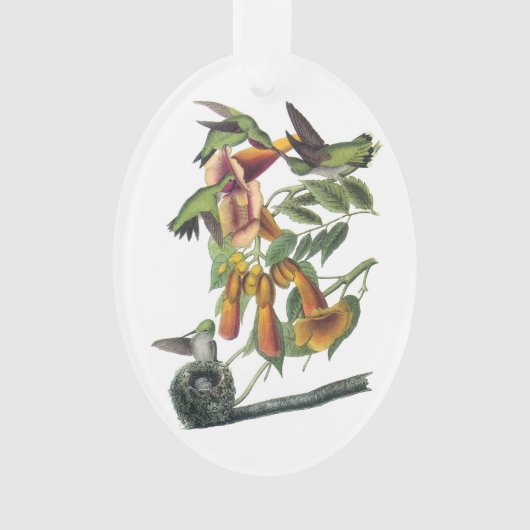 Ruby-throated Hummingbird by Audubon Ornament (Vorderseite)