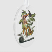 Ruby-throated Hummingbird by Audubon Ornament (Vorderseite)