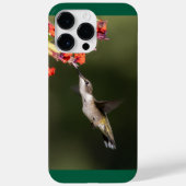 Ruby-Throated Hummingbird Case-Mate iPhone Hülle (Rückseite)