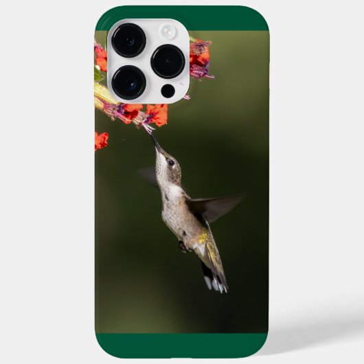 Ruby-Throated Hummingbird Case-Mate iPhone Hülle (Rückseite)
