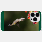 Ruby-Throated Hummingbird Case-Mate iPhone Hülle (Rückseite (Horizontal))