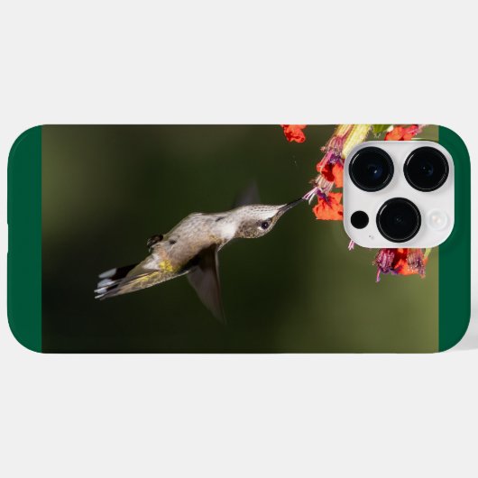 Ruby-Throated Hummingbird Case-Mate iPhone Hülle (Rückseite (Horizontal))