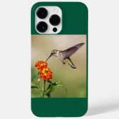 Ruby-Throated Hummingbird Case-Mate iPhone Hülle (Rückseite)