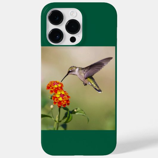 Ruby-Throated Hummingbird Case-Mate iPhone Hülle (Rückseite)