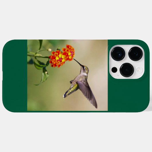 Ruby-Throated Hummingbird Case-Mate iPhone Hülle (Rückseite (Horizontal))