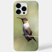 Ruby-Throated Hummingbird Case-Mate iPhone Hülle (Rückseite)