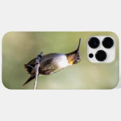 Ruby-Throated Hummingbird Case-Mate iPhone Hülle (Rückseite (Horizontal))