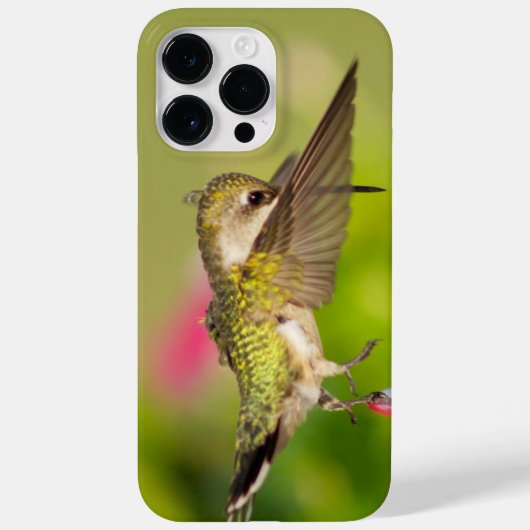 Ruby-Throated Hummingbird Case-Mate iPhone Hülle (Rückseite)