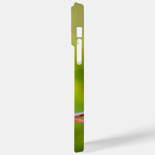 Ruby-Throated Hummingbird Case-Mate iPhone Hülle (Rückseite / Links)