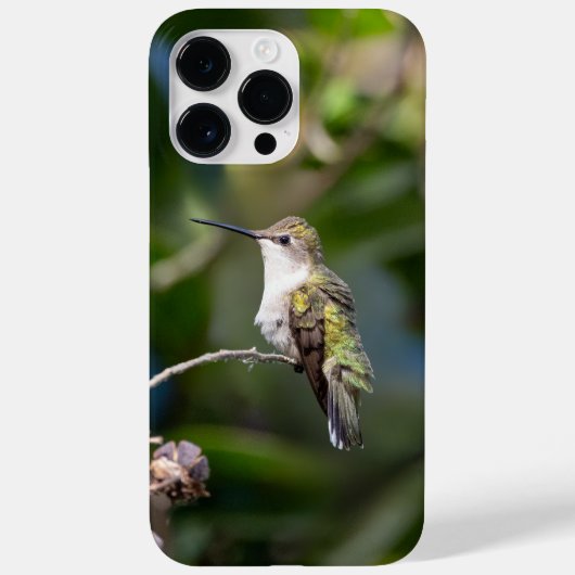 Ruby-Throated Hummingbird Case-Mate iPhone Hülle (Rückseite)