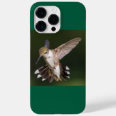 Ruby-Throated Hummingbird Case-Mate iPhone Hülle (Rückseite)