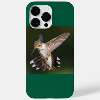 Ruby-Throated Hummingbird Case-Mate iPhone 14 Pro Max Hülle