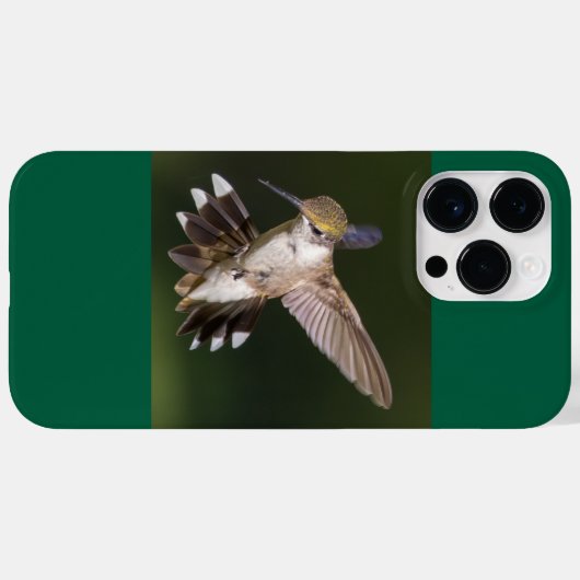 Ruby-Throated Hummingbird Case-Mate iPhone Hülle (Rückseite (Horizontal))