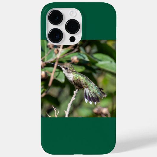 Ruby-Throated Hummingbird Case-Mate iPhone Hülle (Rückseite)