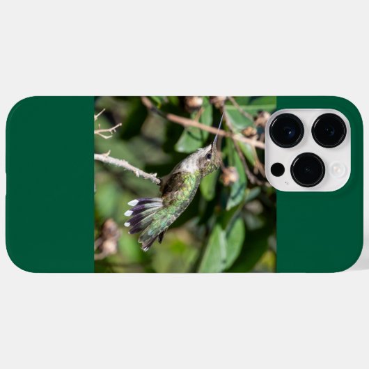 Ruby-Throated Hummingbird Case-Mate iPhone Hülle (Rückseite (Horizontal))