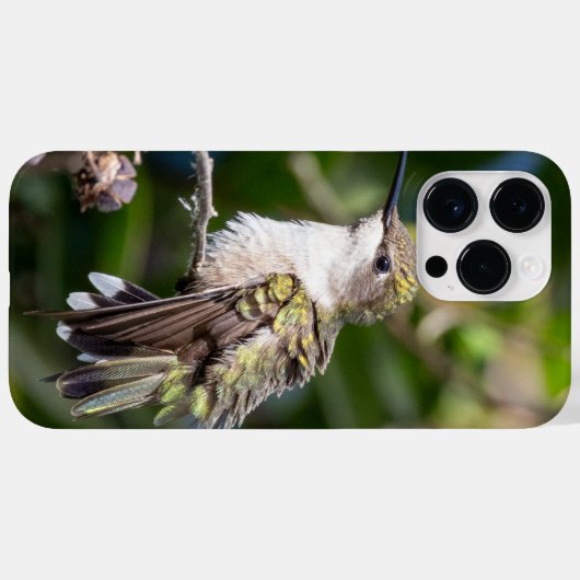 Ruby-Throated Hummingbird Case-Mate iPhone Hülle (Rückseite (Horizontal))