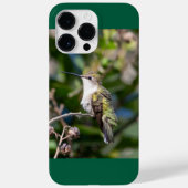 Ruby-Throated Hummingbird Case-Mate iPhone Hülle (Rückseite)