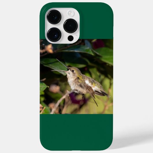 Ruby-Throated Hummingbird Case-Mate iPhone Hülle (Rückseite)