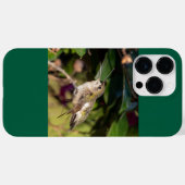 Ruby-Throated Hummingbird Case-Mate iPhone Hülle (Rückseite (Horizontal))