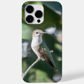 Ruby-Throated Hummingbird Case-Mate iPhone Hülle (Rückseite)