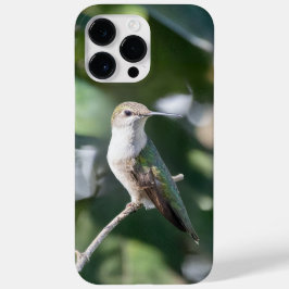 Ruby-Throated Hummingbird Case-Mate iPhone 14 Pro Max Hülle
