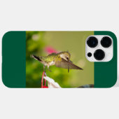 Ruby-Throated Hummingbird Case-Mate iPhone Hülle (Rückseite (Horizontal))