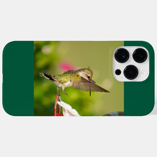 Ruby-Throated Hummingbird Case-Mate iPhone Hülle (Rückseite (Horizontal))