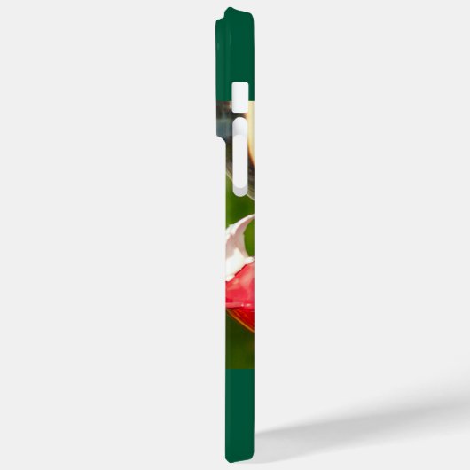 Ruby-Throated Hummingbird Case-Mate iPhone Hülle (Rückseite / Links)