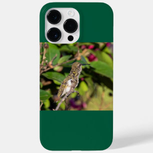 Ruby-Throated Hummingbird Case-Mate iPhone 14 Pro Max Hülle
