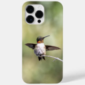 Ruby-Throated Hummingbird Case-Mate iPhone Hülle (Rückseite)