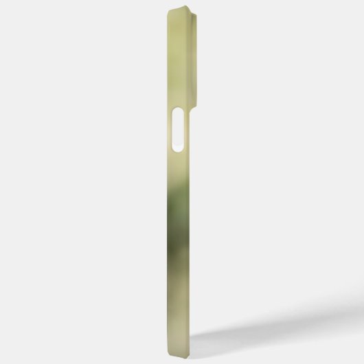 Ruby-Throated Hummingbird Case-Mate iPhone Hülle (Rückseite / Rechts)