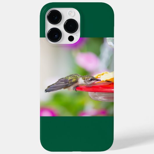 Ruby-Throated Hummingbird Case-Mate iPhone Hülle (Rückseite)