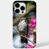 Ruby-Throated Hummingbird Case-Mate iPhone Hülle (Rückseite)