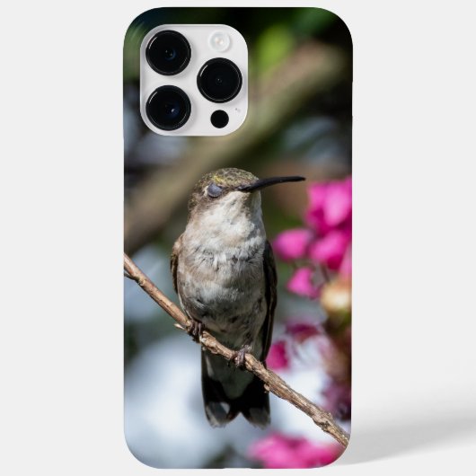 Ruby-Throated Hummingbird Case-Mate iPhone Hülle (Rückseite)