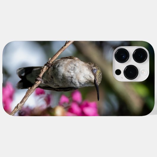 Ruby-Throated Hummingbird Case-Mate iPhone Hülle (Rückseite (Horizontal))