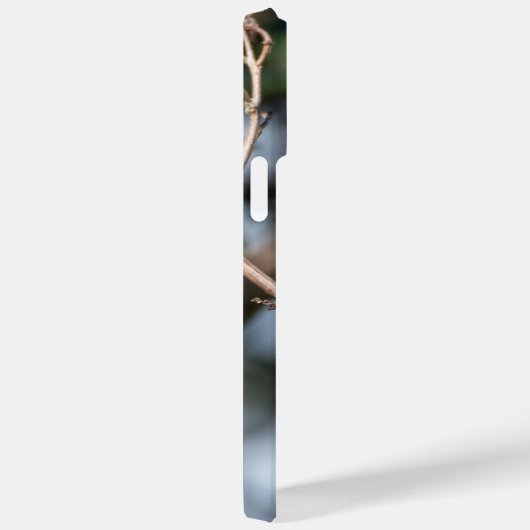 Ruby-Throated Hummingbird Case-Mate iPhone Hülle (Rückseite / Rechts)