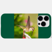 Ruby-Throated Hummingbird Case-Mate iPhone Hülle (Rückseite (Horizontal))