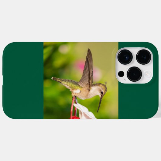 Ruby-Throated Hummingbird Case-Mate iPhone Hülle (Rückseite (Horizontal))