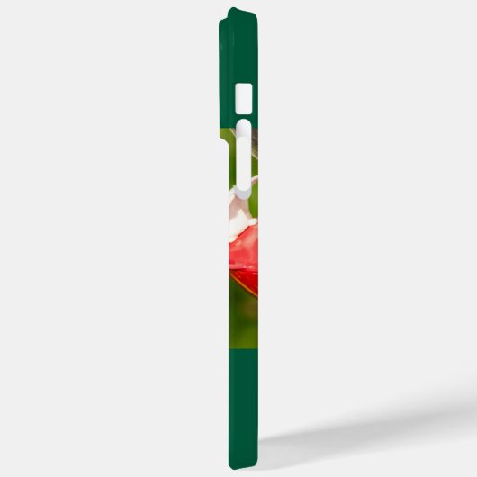 Ruby-Throated Hummingbird Case-Mate iPhone Hülle (Rückseite / Links)